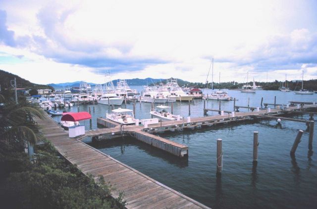 Recreational fishing vessels tied up at Redhook Bay Picture