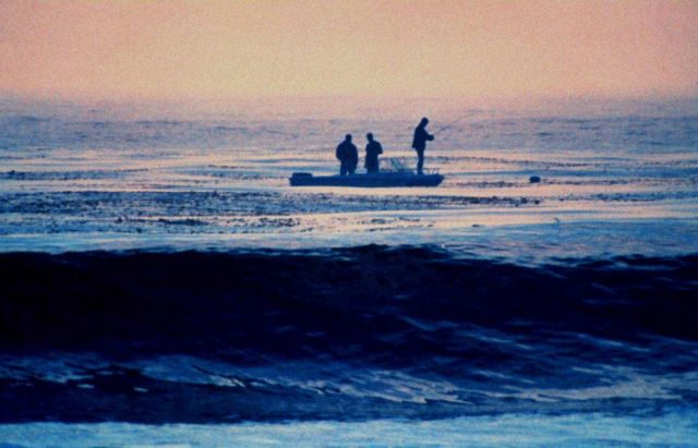 Fishing in the kelp beds in the early morning mist off southern California Picture