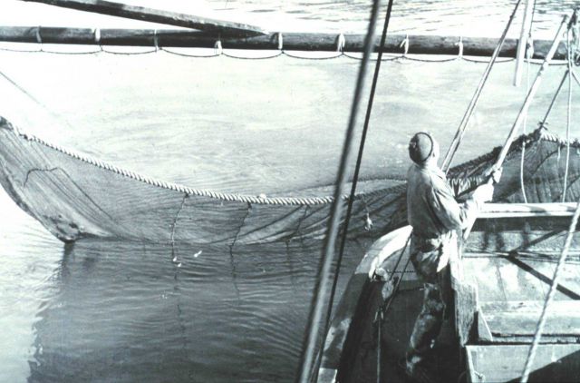 Shrimp trawl operations Picture