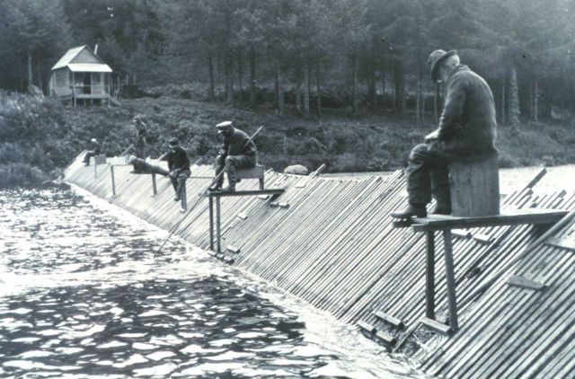 Salmon being counted when passing through weirs Picture