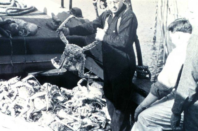 Beginning of the Alaska King Crab fishery Picture