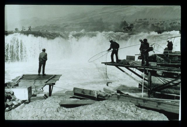 Salmon fishing with large loop nets by Native Americans Picture