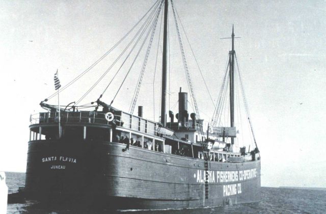 The SANTA FLAVIA - a floating cannery owned by the Alaska Fisheries Co-operative Packing Company. Picture