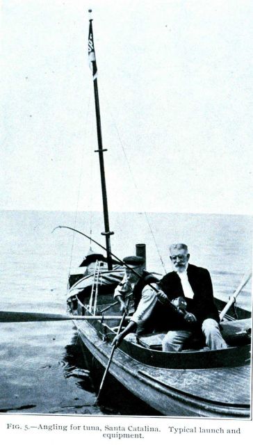 Angling for tuna at Santa Catalina Island Picture