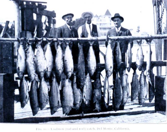 A salmon (rod and reel) catch, Del Monte, California Picture