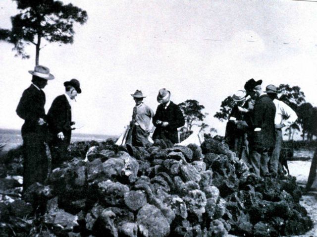 A sponge auction at Anclote Picture