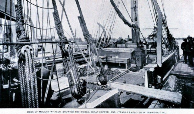 Deck of modern whaler, showing try-works, scraphopper, and utensils employed in trying-out oil Picture