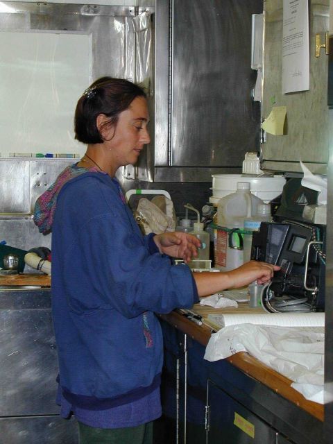Scientist at work in the laboratory of the NOAA Ship McARTHUR Picture