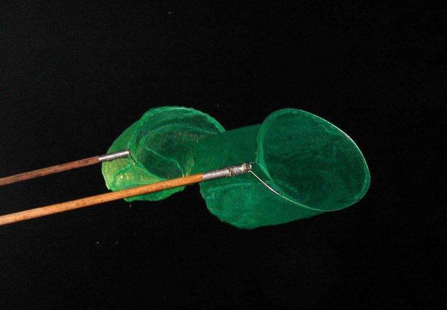 Dip-netting during a slight blow Picture