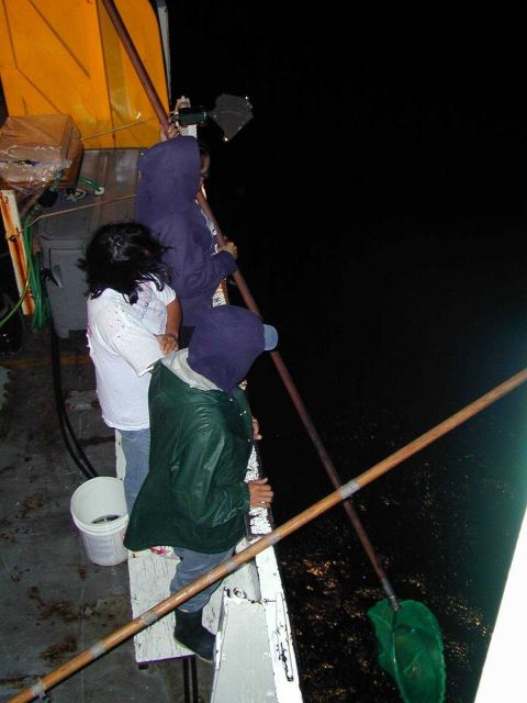 Dip-netting on the McARTHUR Picture