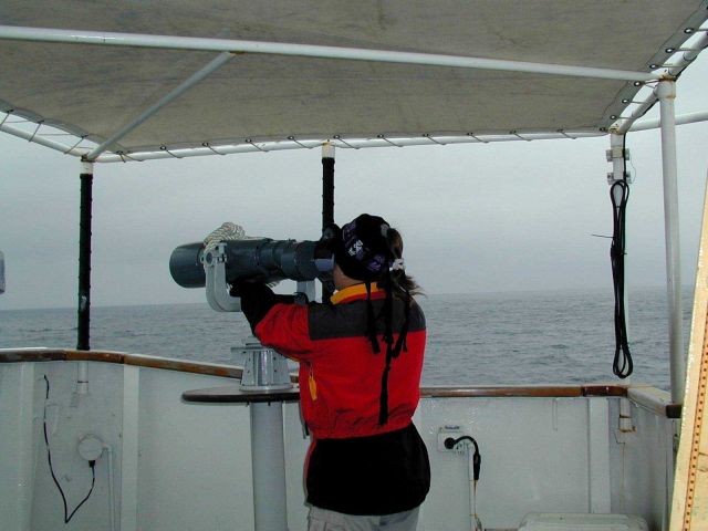 Scanning the horizon with the bigeyes on the NOAA Ship McARTHUR Picture