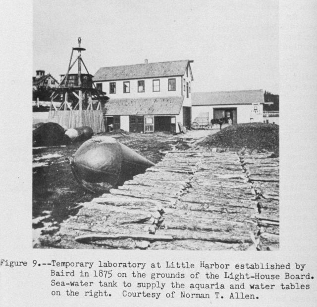 Temporary laboratory at Little Harbor Picture