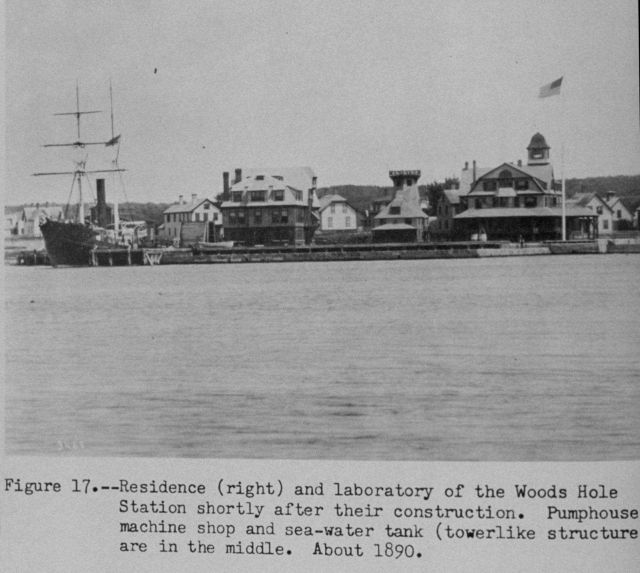 Residence and laboratory at Woods Hole with ALBATROSS at dock Picture