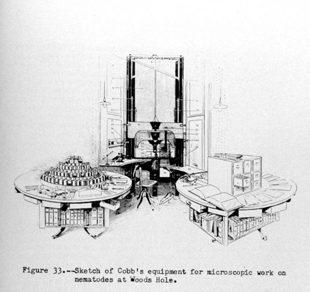 Sketch of Cobb's equipment for miscroscopic work on nematodes at Woods Hole. Picture