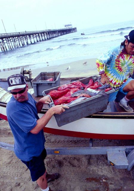 Only a few fishermen are allowed to work in the historic Newport Beach dory fleet fishery Picture