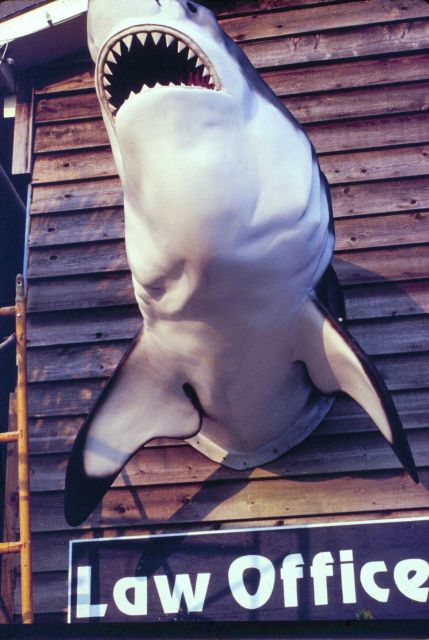 A Folly Beach, South Carolina, legal firm advertises its services with a sense of humor Picture