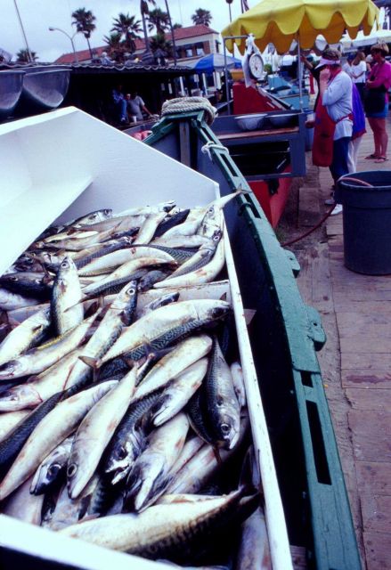 Outdoor fish market Picture