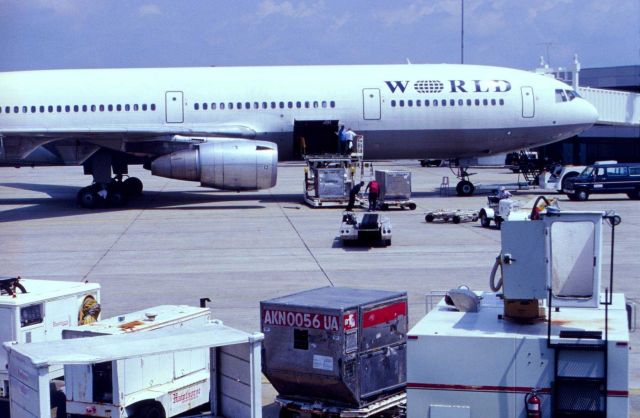 Seafood is transported worldwide as air cargo Picture