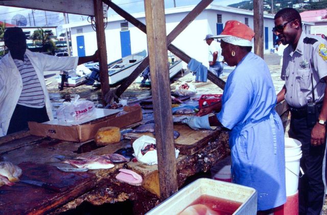 A Virgin Islands fisheries officer visits with workers at a dockside filleting operation in Charlotte Amalie, St Picture