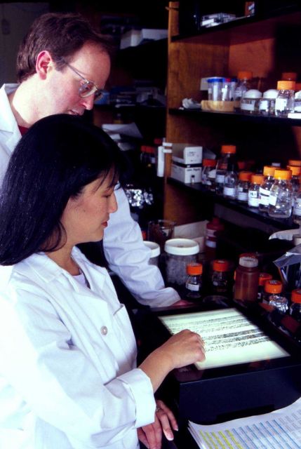 Federal fisheries researchers. Picture