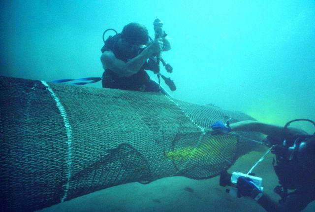 A gear researcher observes a shrimp-net turtle excluder device as part of a program to reduce turtle captures. Picture