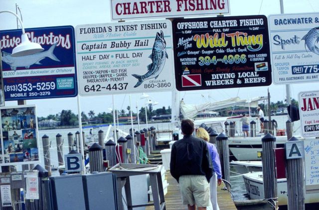 Charter boat and party boat fleets are characterized by both intense competition and strong cooperation. Picture