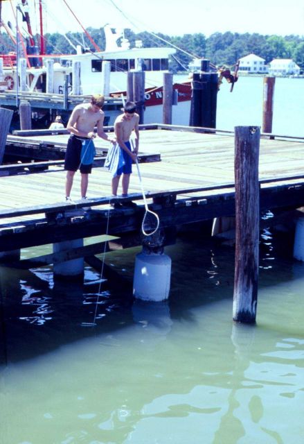Boys on a pier in Seaford, Virginia, handlining for blue crabs. Picture