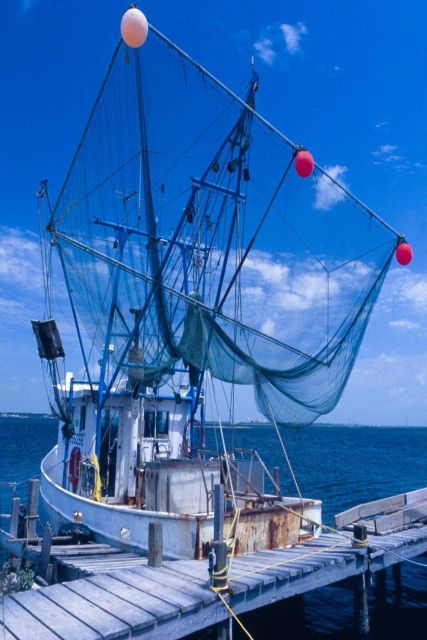 A small Corpus Christi wing-netter prepares for shrimping in shallow Texas waters. Picture
