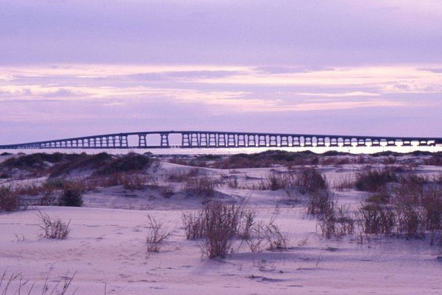 Bays and sounds around Nags Head, North Carolina, provide nurseries for hundreds of marine species. Picture