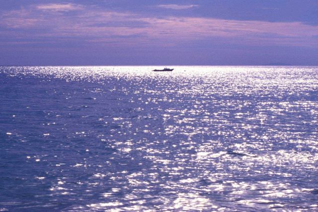 The deep water Mona Passage off Puerto Rico's western end favors fish larger than those found among shallow-water corals. Picture