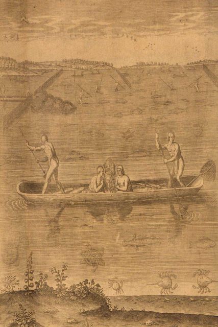 Colonists were lured to America by both the abundance and the variety of fish and shellfish Picture