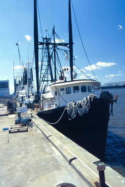 A few trawlers deliver croaker and other groundfish to a Pascagoula, Mississippi, pet food cannery. Picture