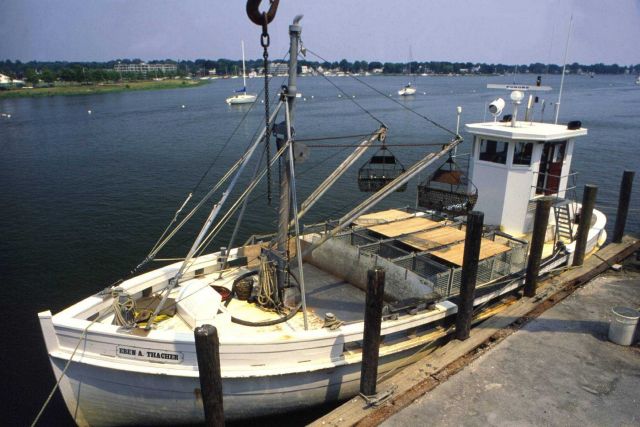 This small Norwalk, Connecticut, boat serves beds of the privately owned blue point oysters. Picture