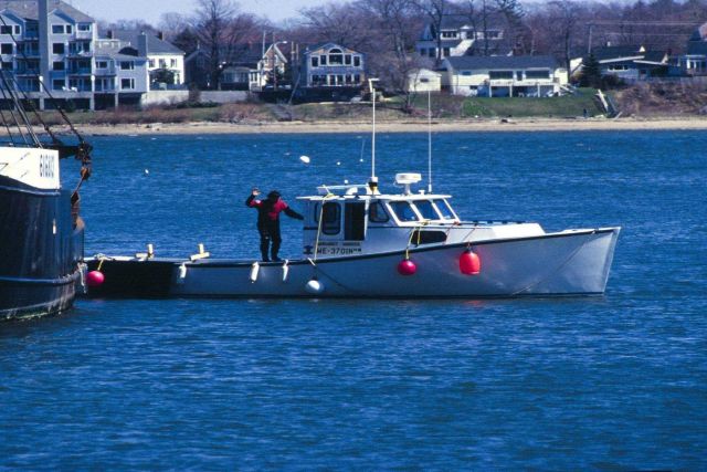 Urchin boats, like this one in Portland, Maine, are usually quite small and crewed by just two people. Picture