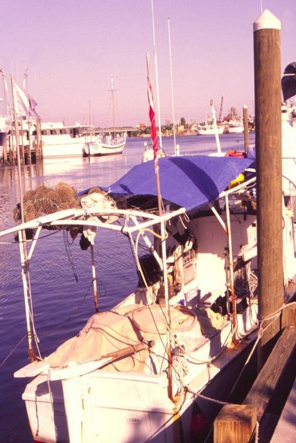 One of Florida's remaining sponge boats returns to Tarpon Springs with the animals drying on a tarp-covered frame. Picture
