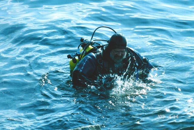 Diver returning with catch Picture
