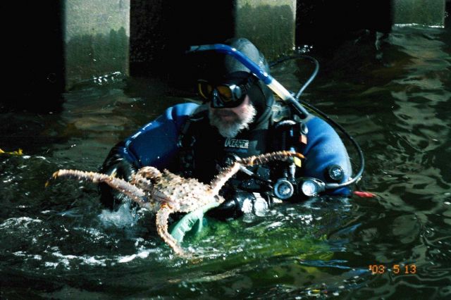 Returning with catch Picture