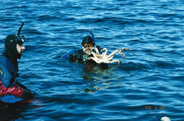 Novice diver Vladislav A Picture