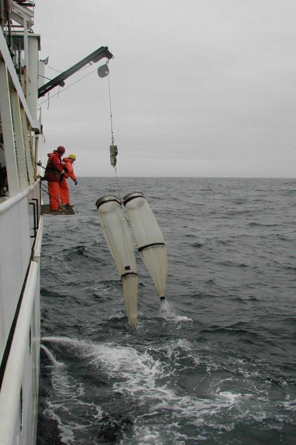 Bongo net recovery Picture