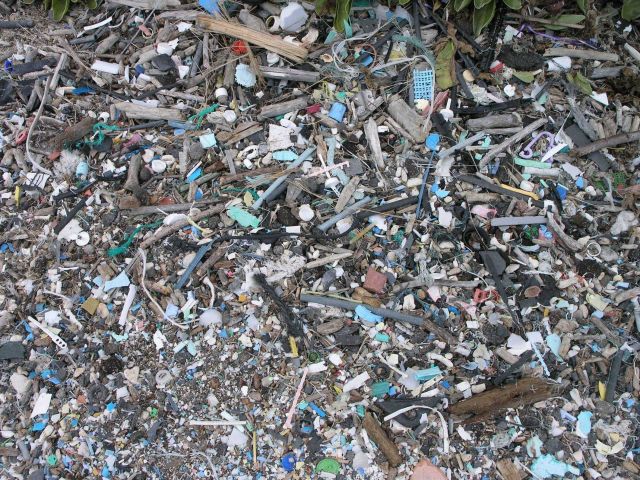 Plastic debris washed at the high tide line Picture