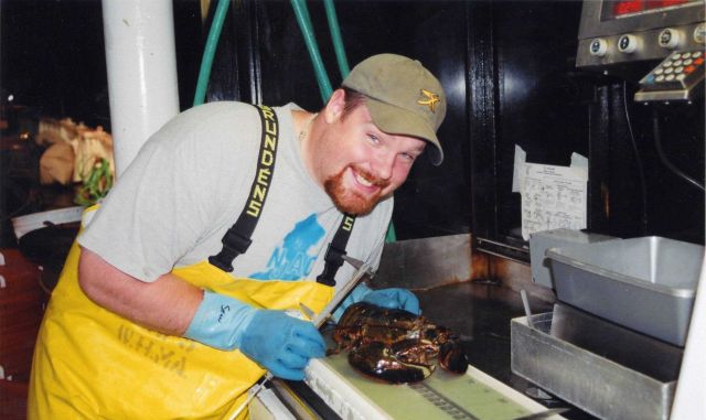 Measuring a lobster (Homarus americanus) Picture