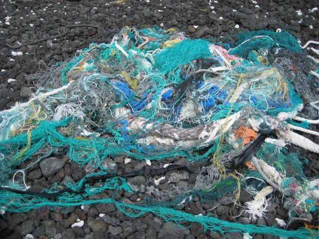 Tangled nets are found on a black rock beach Picture