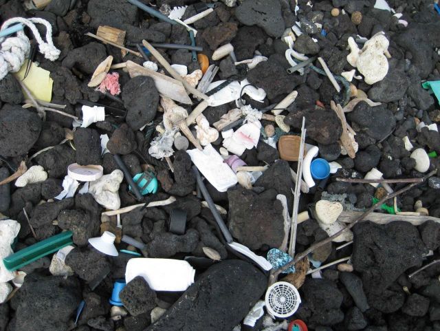 Virtually indestructible pieces of plastic fouling a black rock beach on the island of Hawaii Picture