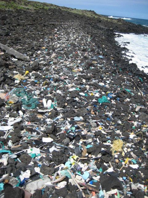 Plastic debris littering Hawaiian shoreline Picture