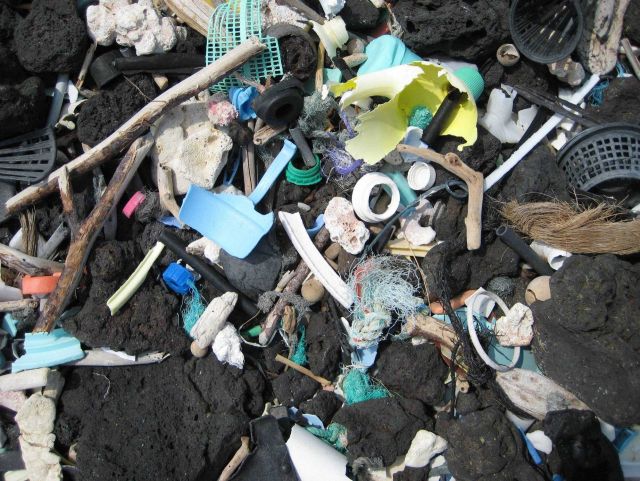 Virtually indestructible pieces of plastic fouling a black rock beach on the island of Hawaii Picture