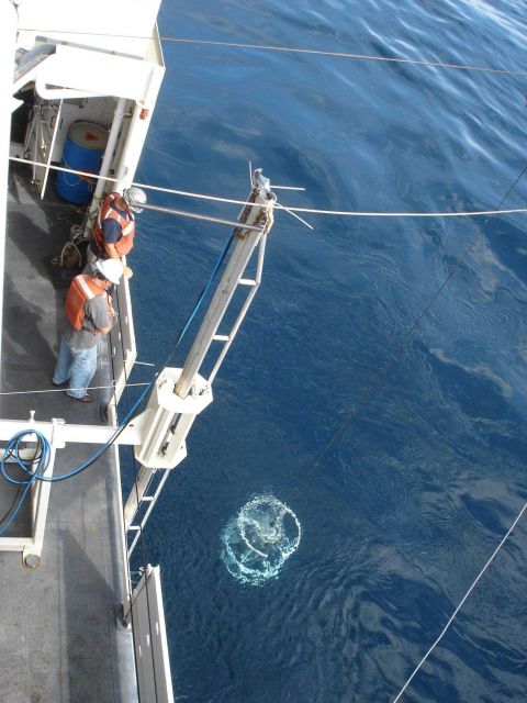 CTD operations on the HENRY BIGELOW Picture