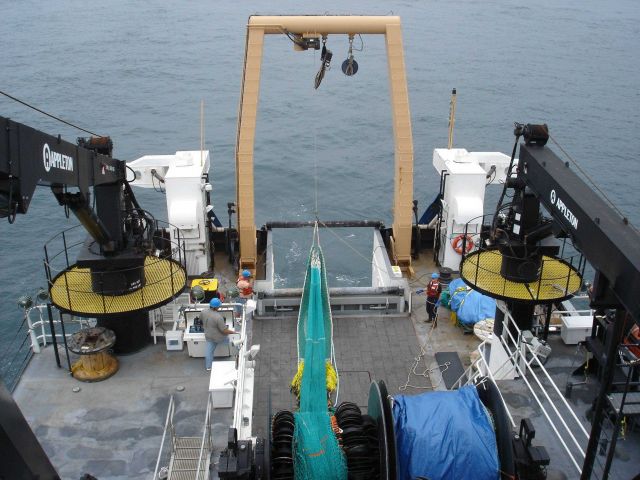 Trawling operations on the HENRY BIGELOW Picture