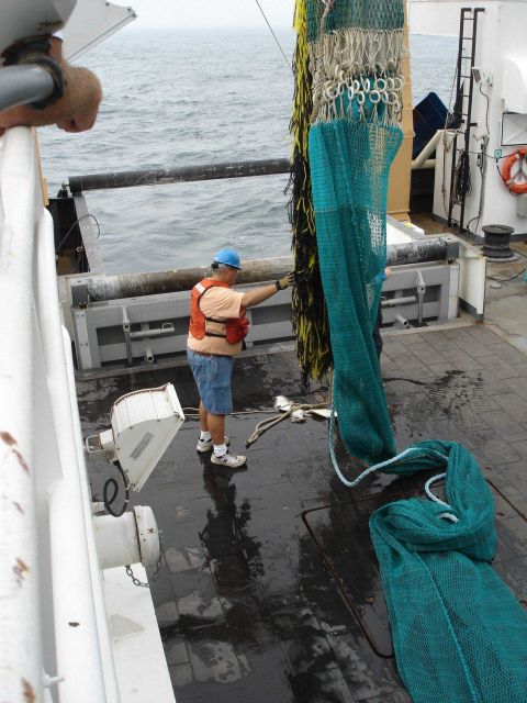 Trawling operations on the HENRY BIGELOW Picture