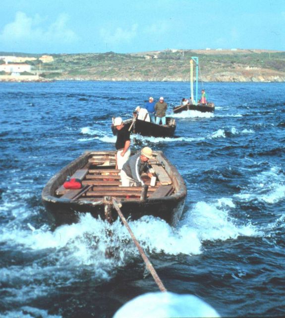 The boats set off towards the trap at Stintino. Picture