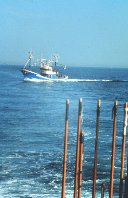 Tuna boat from Fuenterrabia, Northern Spain Picture